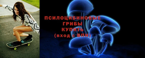 PSILOCYBIN Гусев