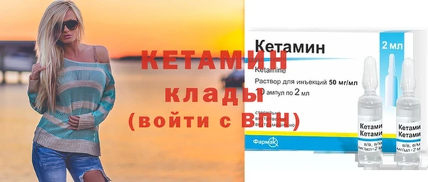 сатива Горняк