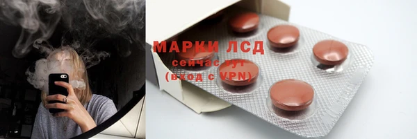 сатива Горняк