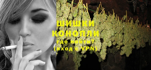 сатива Горняк