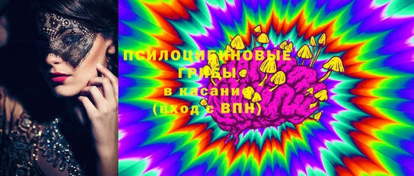 соль ск Горнозаводск