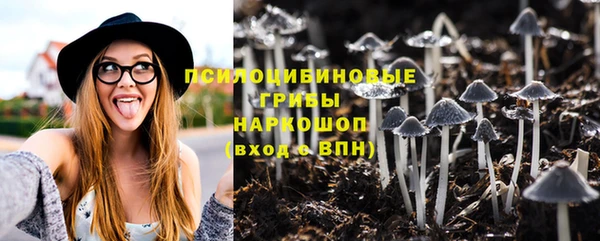 сатива Горняк