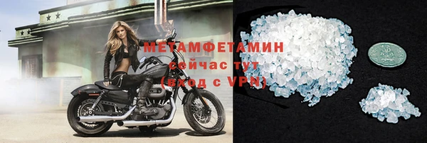 сатива Горняк