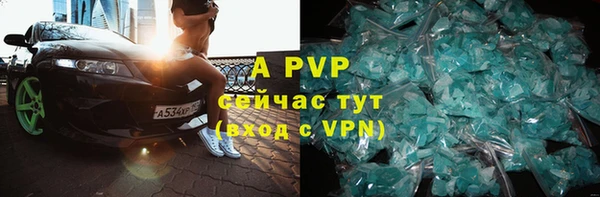 сатива Горняк