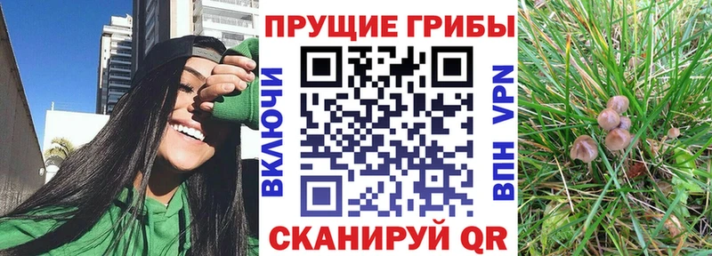Псилоцибиновые грибы мухоморы  продажа наркотиков  Дегтярск 